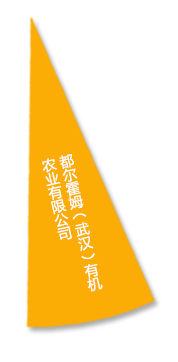 首页- J9集团国际站官网入口