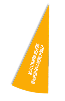 首页- J9集团国际站官网入口